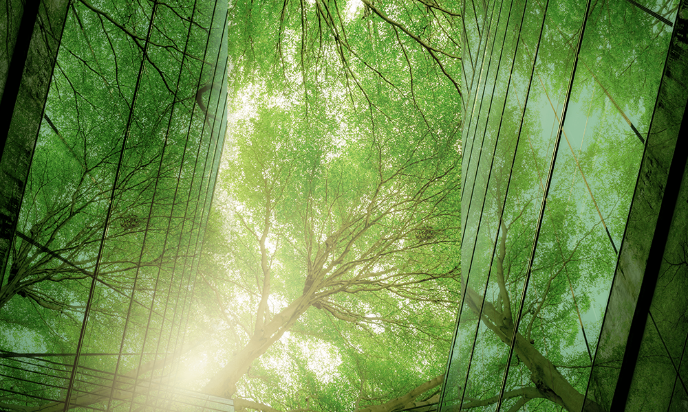 Trees between buildings